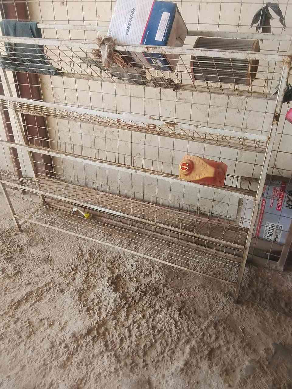 سلام عليكم غراض محطه للبيع 
شغالات وماسبات ابيع شلع كلهن سويه مكانه نجف ***********الي يريدهن يخبر بيع متعجل
