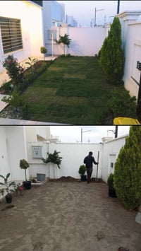 الرمادي • حدايق • ثيل هندي