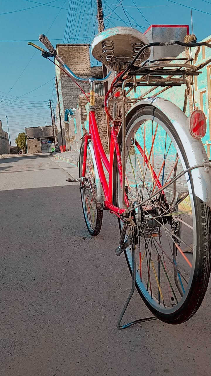 بايسكل حجم 26 نضافه فول مكينه جديده كلشي مابي السعر 100وبي مجال للطيبين مكاني بغداد الحسينيه استفسار اتصال هاذه الرقم 7715924794


**إذا كنت صاحب هذا الإعلان وتريد حذفه لأي سبب، رجاءا أرسل رسالة إلى الدعم الفني**