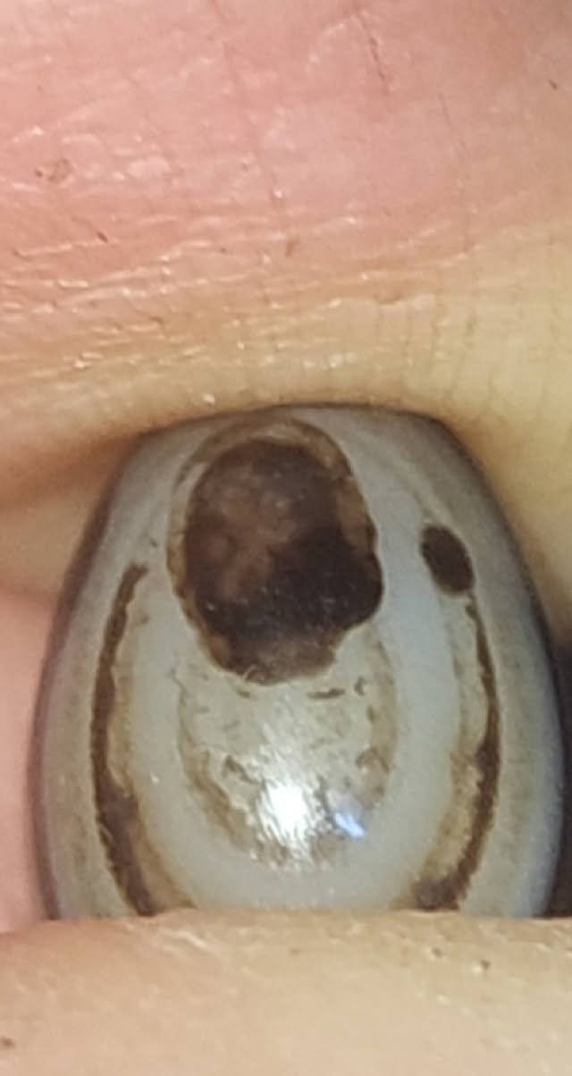 حجر جزع مصوره واضح مشكوله للبيع سعر حجر ٧٥ الف يوجد توصيل كافه محافظات


**إذا كنت صاحب هذا الإعلان وتريد حذفه لأي سبب، رجاءا أرسل رسالة إلى الدعم الفني**