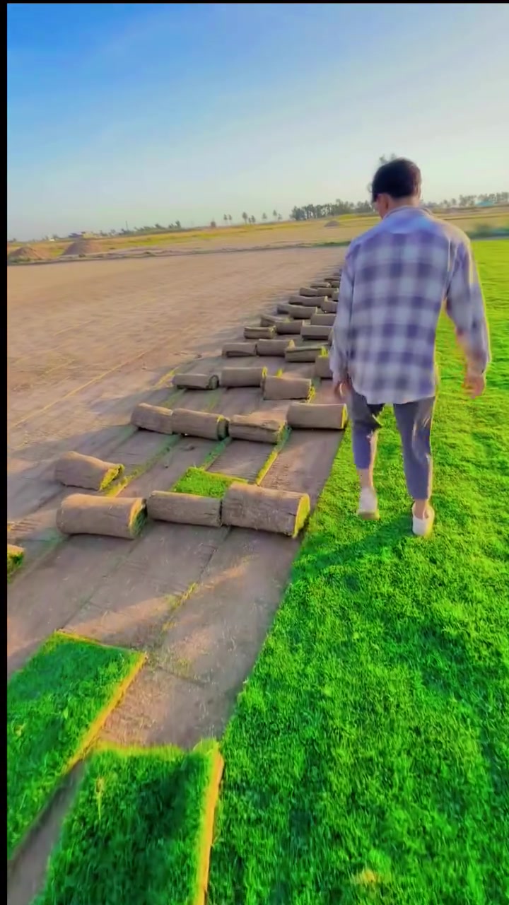 #ثيل_طبيعي 
مستعدون لتجهيز كافيه المشاتل 
اسعار مناسبه 
ومتوفر توصيل لباب البيت 
كل الي عليك #تتصل ***********
 #ثيل #هندي #اسباني #فرنسي #يطالي #توصيل #منازل #حدائق #منتزهات #جزرات_وسطيه #مشاريع_حكوميه #سعار_الجمله
