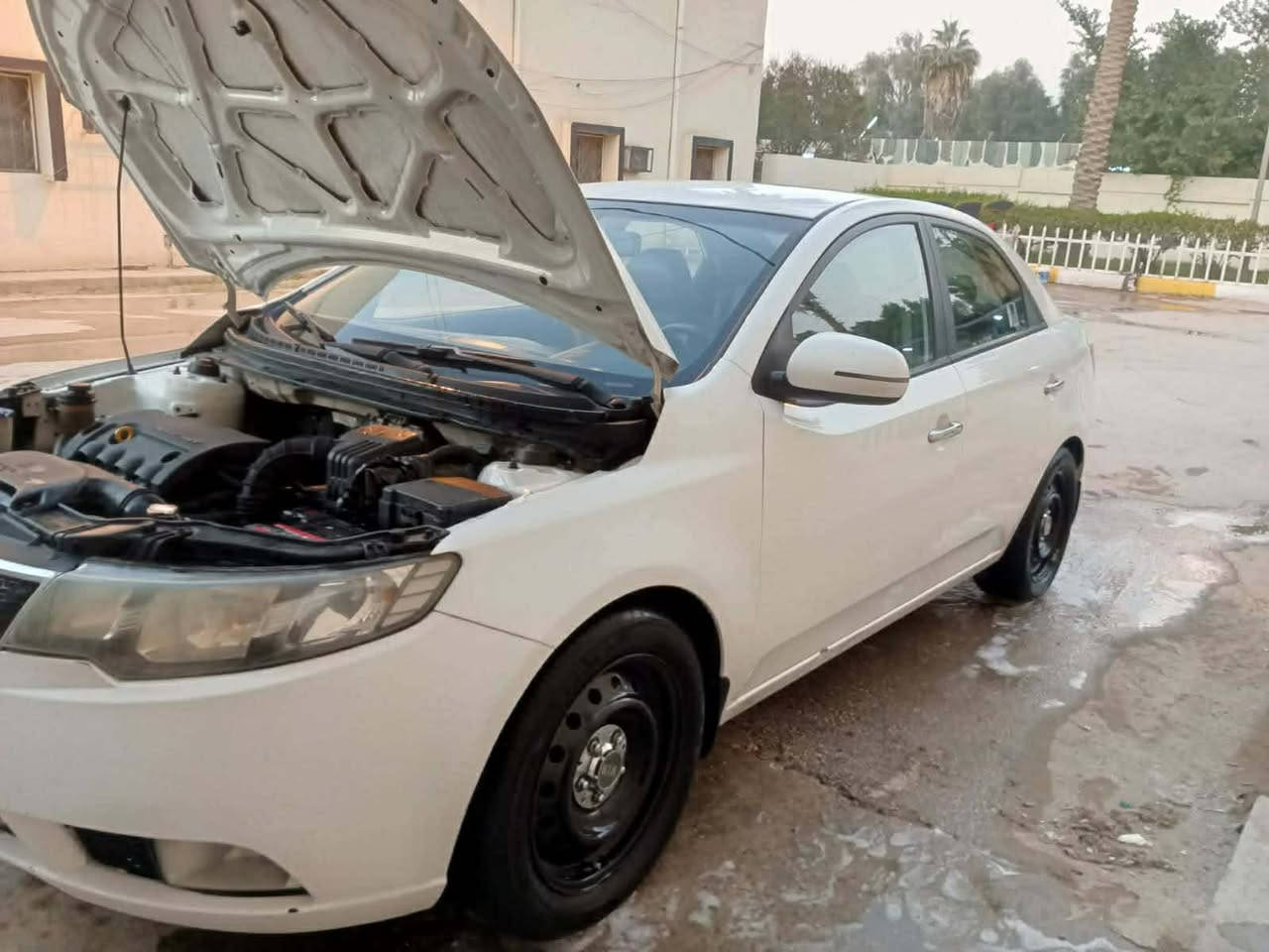 سلام عليكم شباب سيراتو موديل ١٣ كفاله بيه شبر فقط صبغ بل باب  جاهزه للأخير  تخم تاير سياره خليجيه بيه وكاله تريد تحويل مباشر   سعره ١١٤ بيه مجال. الاستفسار  *********** سونار موجود.
