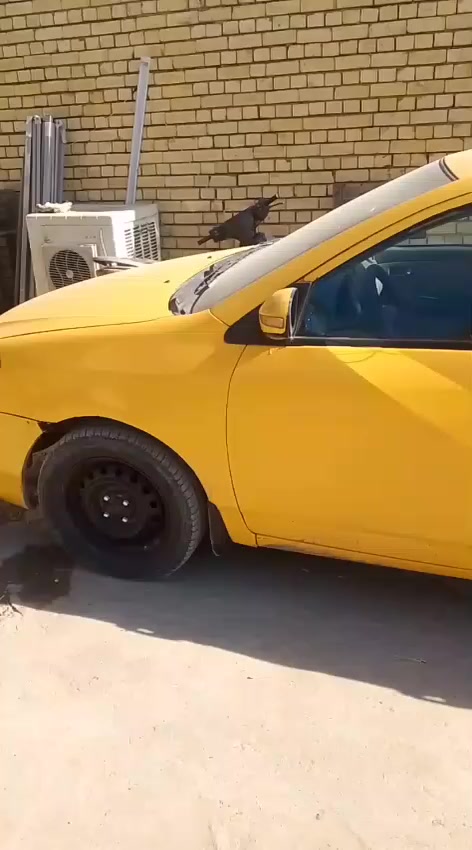 السلام عليكم ورحمة الله وبركاته
بي واي دي موديل 13بدون راعي مال مصرف اتكفل سرقه وعشائر بيها مكينه وكير هونده كير عادي سنويه كارتونيه الاستفسار الاتصال ***********
السعر 18
