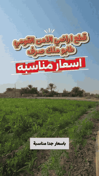 للاستفسار اكثر يرجى الاتصال:- ☎️07737000701☎️ ☎️07726177772☎️ #نزالي_ل...