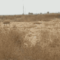 كاع 200 متر بوب الشام ارض الزكيه السعر 7 وبيها مجال قليل 07708983888