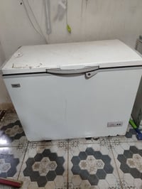 مجمده • عل بلد • مقروصه