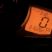 حالة الوكالة • مكفولة • ماشية ٣١