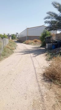 ١٤٠م • شارع المداخل • سند زراعي