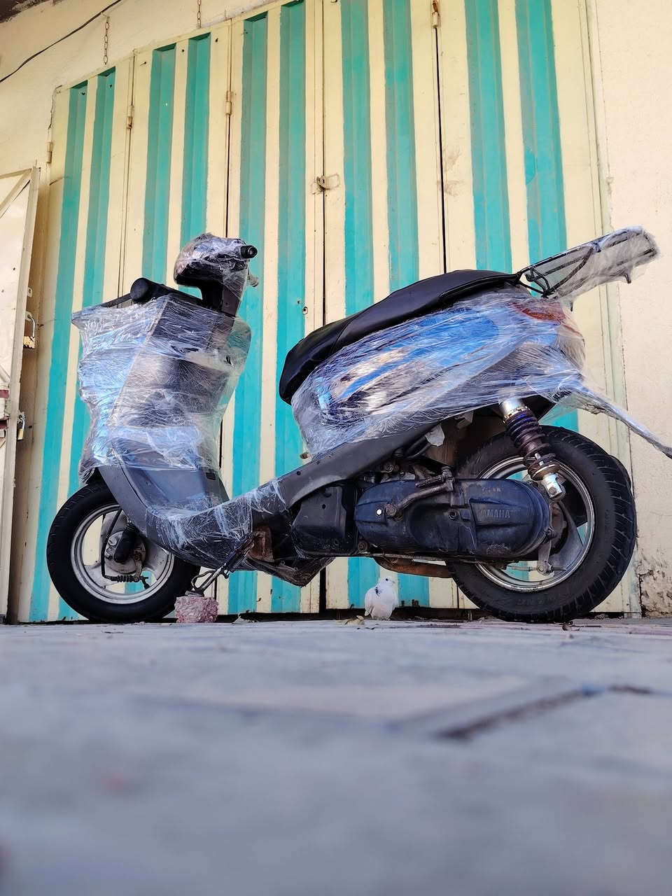 سلام عليكم ورحمة الله وبركاته
دراجه منغولي نضيفه ومرتبه كلش  مال  جناي

السعر 380 وبيها مجال قليل دراجه محرك ناعم ومرتبه كلش، مكاني كربلاء المقدسة حي القادسيه

***********  مامتواجد خاص. فقط اتصال  فقط نقصها سله
