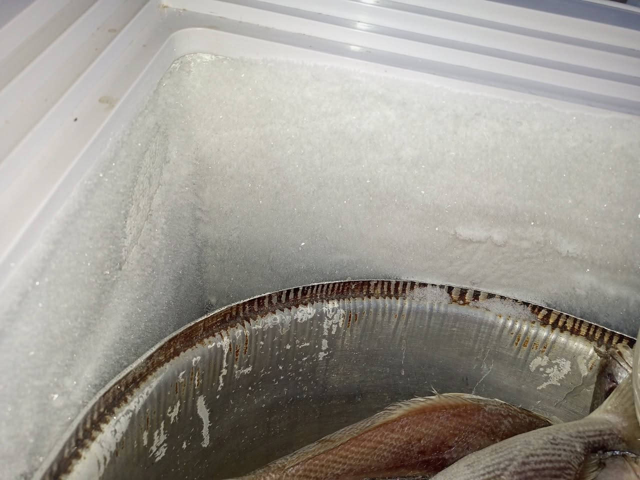 مجمدة بالة نوعية ممتازة تجميد راقي 😉
245 الف فقط 
مكانهم ام قصر


**إذا كنت صاحب هذا الإعلان وتريد حذفه لأي سبب، رجاءا أرسل رسالة إلى الدعم الفني**