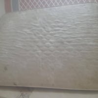 مبرده • شغاله • نضيفه