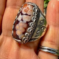 اللهم صلي على محمد وآل محمد الطيبين الطاهرين لعيونكم جمال الداودي او ا...