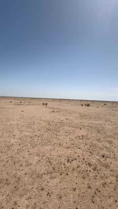 للبيع 50دونم عقد زراعي طريق نجف كربلاء عمود 270 وتدخل عليها  تصلح للزراعه او اقامه مشروع حقل دواجن أو حقل ابقار  العقد مجدد هاذي السنه ومحول لقانون 2024الجديد المشمول بقانون  التطويب  سعر الدونم٧٥٠ الف بدون مرشحات   للتواصل ***********     البيع  50دونم  تحويل باسم المشتري ثاني يوم
