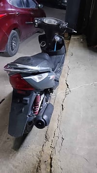 ثعلب • نضيفه • حريه الدور