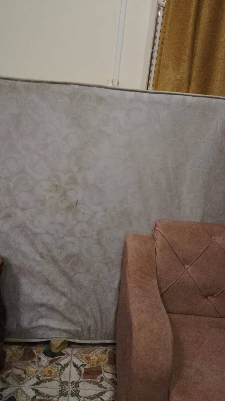 تخم ملكي للبيع نضيف شوف عينك ب200
تفاصيل وتساب ‏‪***********‬‏
دوشك البيع ب50بعده جديد حته مانزل عنون ام العصافير
