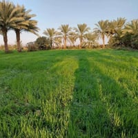 ✨ فرصة مميزة للاستثمار والسكن بموقع راقي ومخدوم بالكامل ✨ إذا تدور أرض...