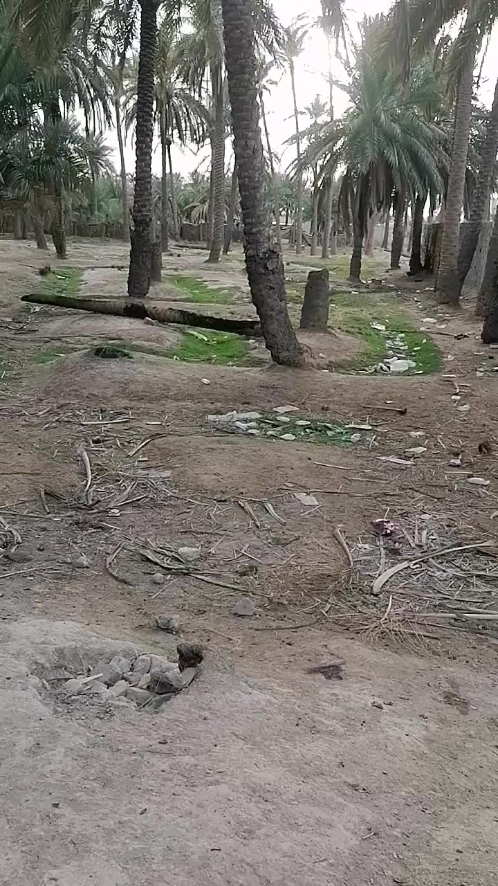 بستان للبيع مساحه ١٤٠٠متر في حي الورود
 موقع المكتب بلدروز حي العسكري مقابل المستوصف *********** ***********
