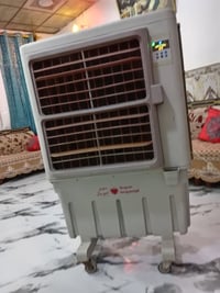 مبرده • شغاله