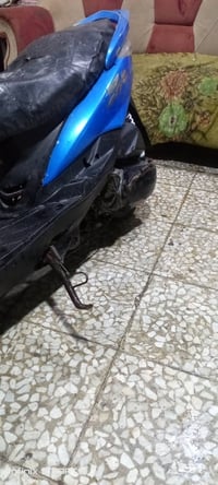 دراجة ثعلب • سلف • الغزالية