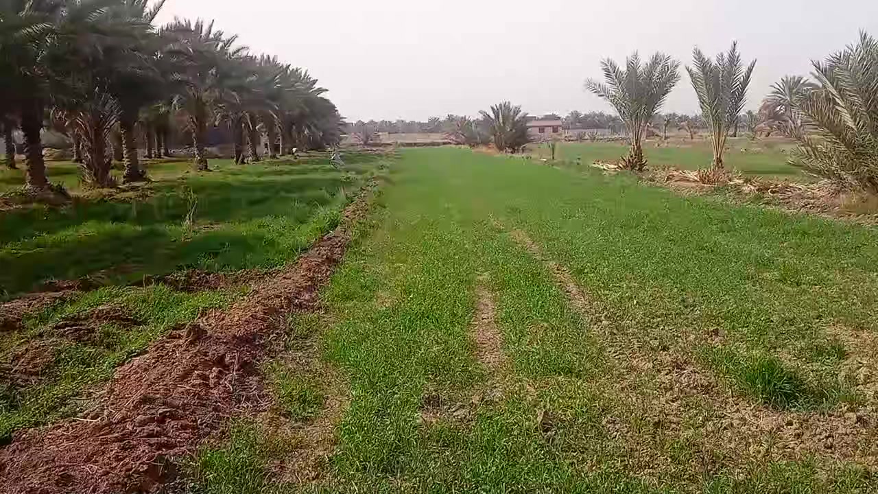 دونم ونص للبيع 

طابو زراعي سند 25 

موقع يم العلوية شريفه 

للاستفسار ***********
