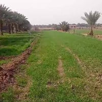 دونم ونص • طابو زراعي • العلوية شريفة