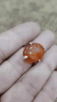 #يماني 45 الف سعر نهائي  بغداد المشتل  واتساب07709211216