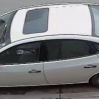 ٢٠١١ • دهوك