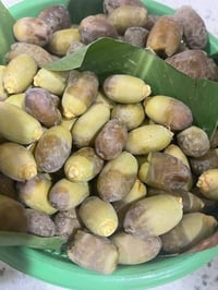 متـــــــوفر فسائل خضراوي سعر الفسيل ب 3 الاف 07734034320