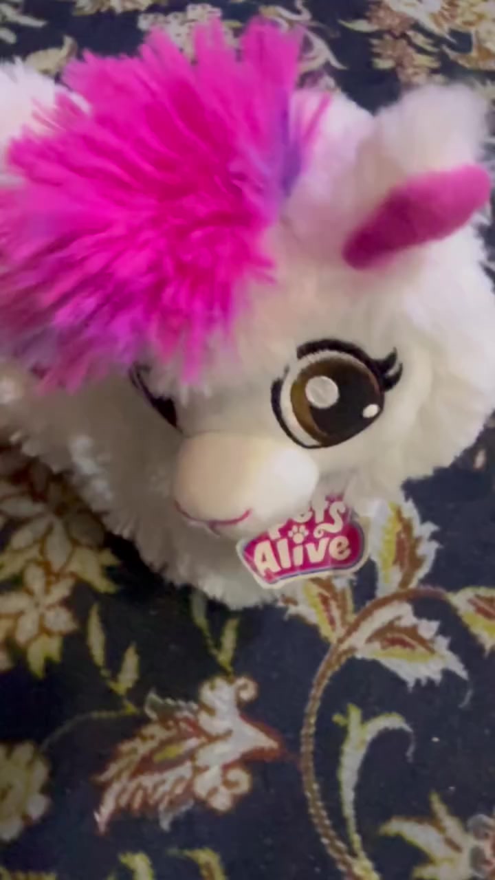 ب١٣ مع التوصيل


**إذا كنت صاحب هذا الإعلان وتريد حذفه لأي سبب، رجاءا أرسل رسالة إلى الدعم الفني**