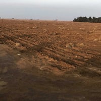 ارض زراعية • ١٥دونم • طريق معمل كار