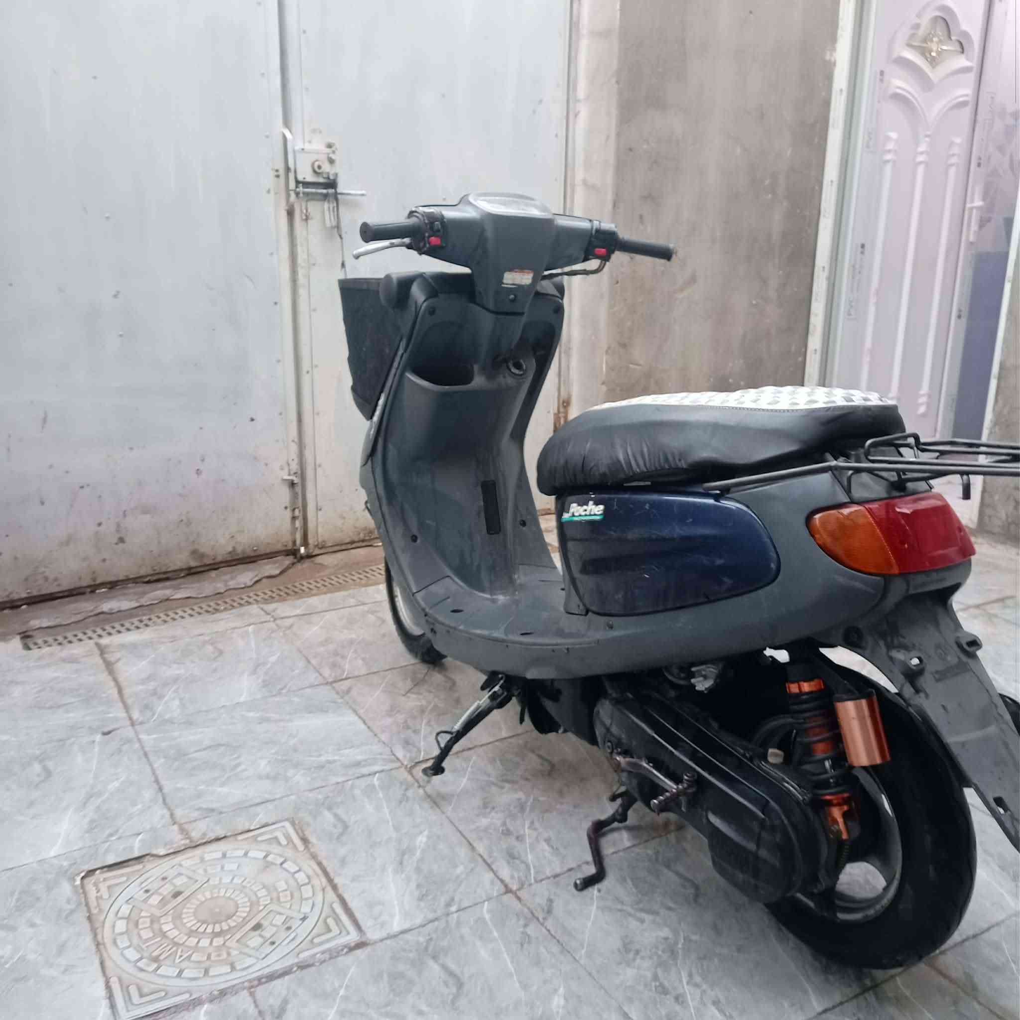 ذبانه منغولي   سعره 👈400👉مكاني ابو صخير راقمي ***********
