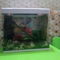 السَلٱمٌ عـَلـْيگمّ-ۈرحـْمّـٌة ٱللـّہ ﯙبُرگـّاتہ، ، عِنـ.̷̷̸̷̐ـديّ  حو...