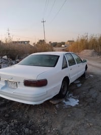 دولفين • ١٩٩٢ • سماوه