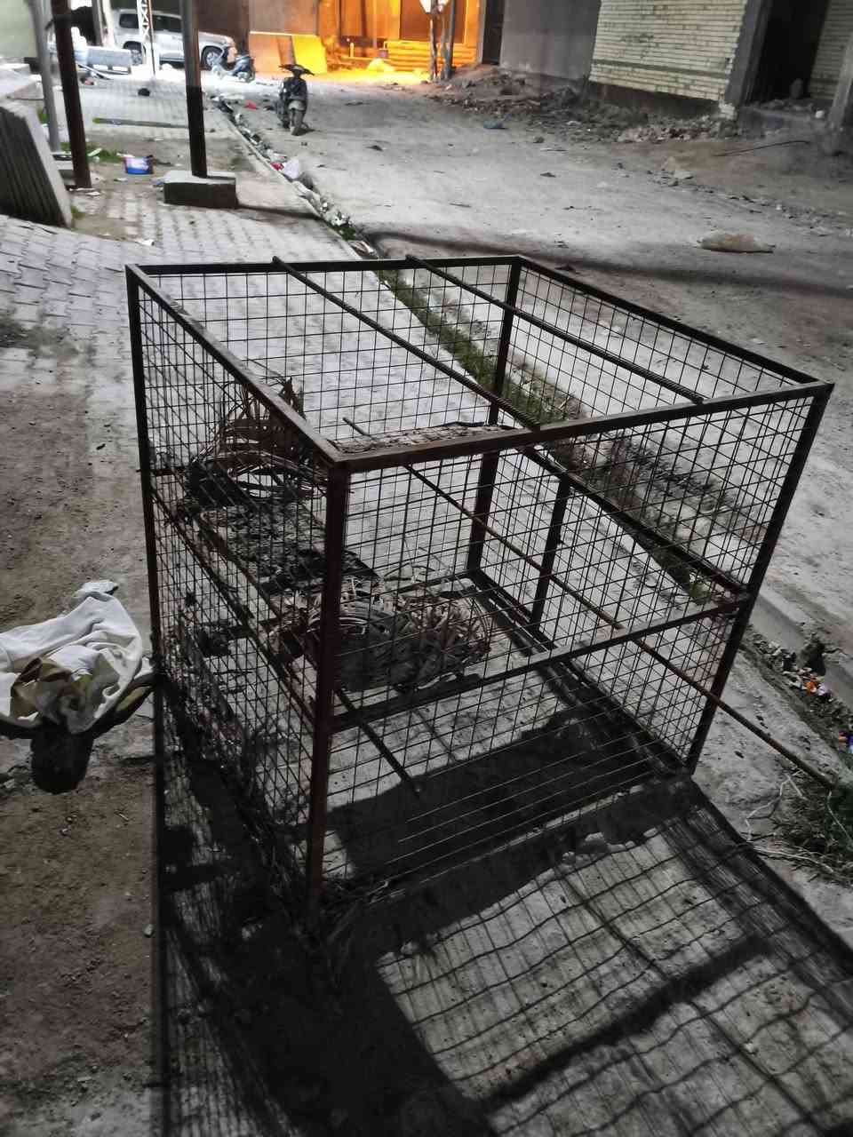 سلام عليكم هاذا القفص شكد يسوه واذا اكو شراي بسعر زين يجي خاص مكاني العصافير


**إذا كنت صاحب هذا الإعلان وتريد حذفه لأي سبب، رجاءا أرسل رسالة إلى الدعم الفني**