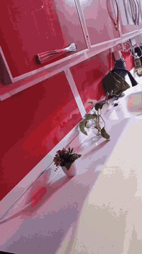 للبيع فرن كاونتر مرشحه براد طباخ  واتساب 07860265288