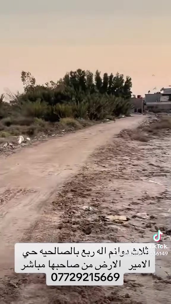 ثلاث دوانم اله ربع بالصالحيه بصف شارع حي الامير الارض من صاحبها مباشر ***********
