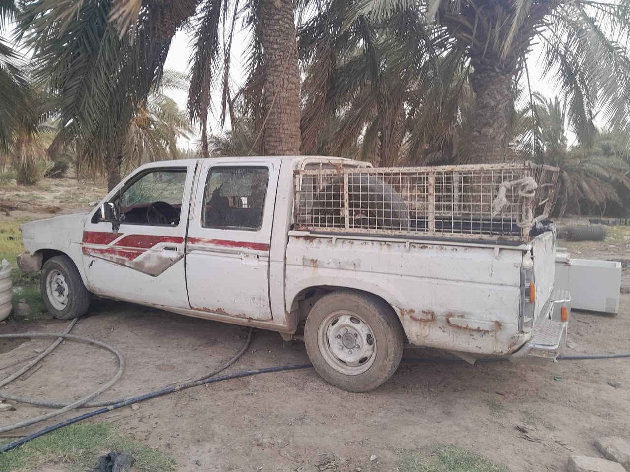 سلام عليكم بيكم اللبيع مديل 89رقم ألماني مكاني الناصريه مركز رقم الهاتف ***********
