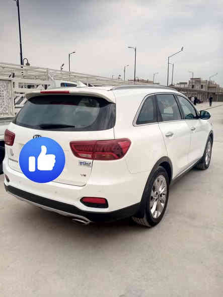 السلام عليكم
سورنتو 2020 رقم دولي واسط

المواصفات :
1- حجم المحرك 6 سلندر 
2- عدد المقاعد 7 راكب
3- تبريد 3 قطع  
5- كامرة 
6- حساسات امامي وخلفي 
7- مري شفط ، اشارات بالمري
8- بردات بلاديه 
9- تحكمات بالسترين 
10- كروس مثبت سرعه 
11- مود درايڤ ٣ وضعيات 
12- شاحن وايرليس 
13- شاشه اصليه apple car play
14- كشنات جلد
15- صندوك كهربائي  
16- كشنات تحكم كهربائي
17-  لايت زنون اصلي بلادي ٣ عدسات
وبعد مواصفات بيها 
 
✅ عداد المسافه 115كيلو متر 
السياره خليجيه كفاله عامة شرط الفحص 

موقع السيارة : واسط
سعر السياره  : 270
للتواصل واتساب : ***********
