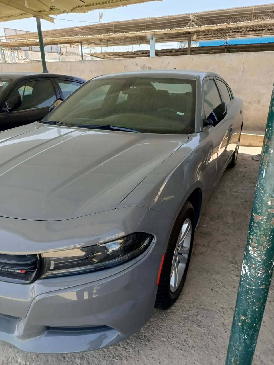 🔺دخول جديد دوج جارجر امريكي🔺
الموديل .2023🪬 اصل 

               (الاصدار الاخيرررر)

              اللون . سمنتي مميز 🩶

المسافة المقطوعة 45 mi فقط وظع الوكالة

حجم المحرك 3600

(كفاله السياره)

مواصفات السيارة ..

-كامرة خلفية دوارة HD

-لايتات زنون وكالة

-تشغيل عن بعد 

-كشنات حضن مع تحكم كهرباء

-حساس خلفي

- بلوجكترات زنون لد امامي 

-شاشة كبيره مع نضام GPS

-مري جانبية هيتر مع عاكس الضوء

-نضام USB- كامل 

-تبريد قطعتين

-بصمة ابواب 

( فحص باسمي اني المستورد بدون رقم تترقم جميع المحافظات)

مكان السيارة الديوانية 🫵

اي استفسار الاتصال. متوفر وتس اب 

📞‏‪‏‪***********‬‏
