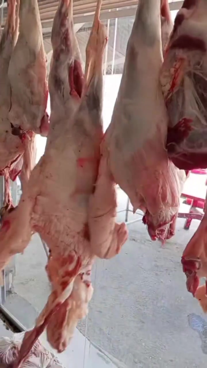 أسعار أللحوم 🐑🐄ليومنا هذا
لحم غنم عراقي ذبح اليوم .........20 ✅️

لحم عجل عراقي ذبح اليوم.✅️

لحم عجل مفروم  ...............16 ✅️

لحم شرح ....................16 ✅

ليه غنم…………….20.000 ✅

للطلب والاستفسار التواصل ☎️

***********📞

يتوفر لدينا خدمة توصيل 🚚
