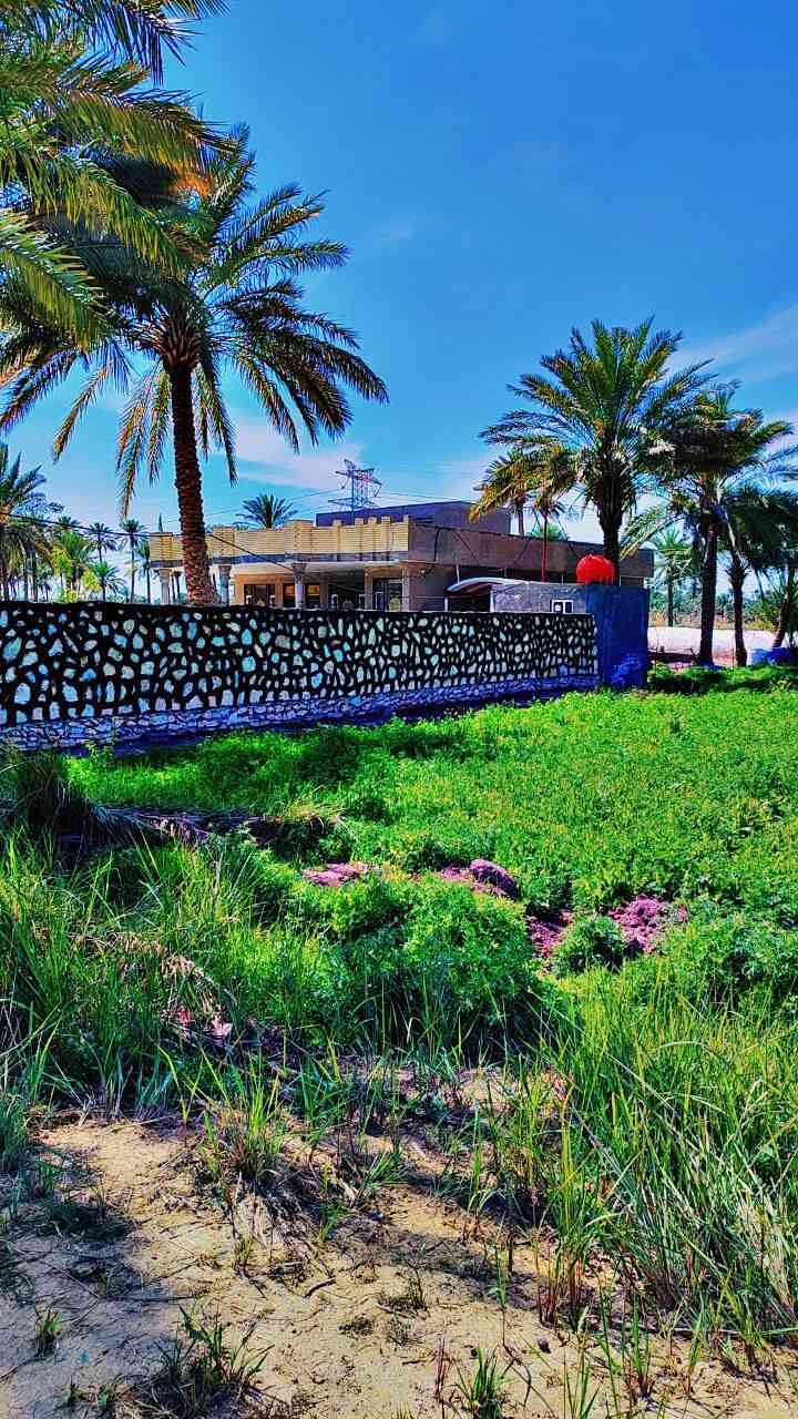 سلام عليكم الشغل حجر كريستا وعمل شغل درجه اولى الاستفسار اتصال على هذا الرقم/***********
