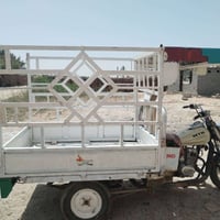 ستوته • ساقطه • شاصي مكفول