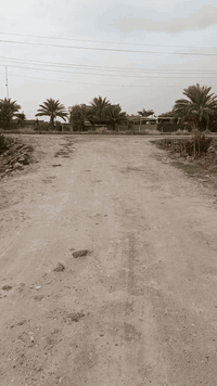 دوانم 2 للبيع سند 25طابو الكاظميه غريبات علشارع قرية علي الحمد 0787903...