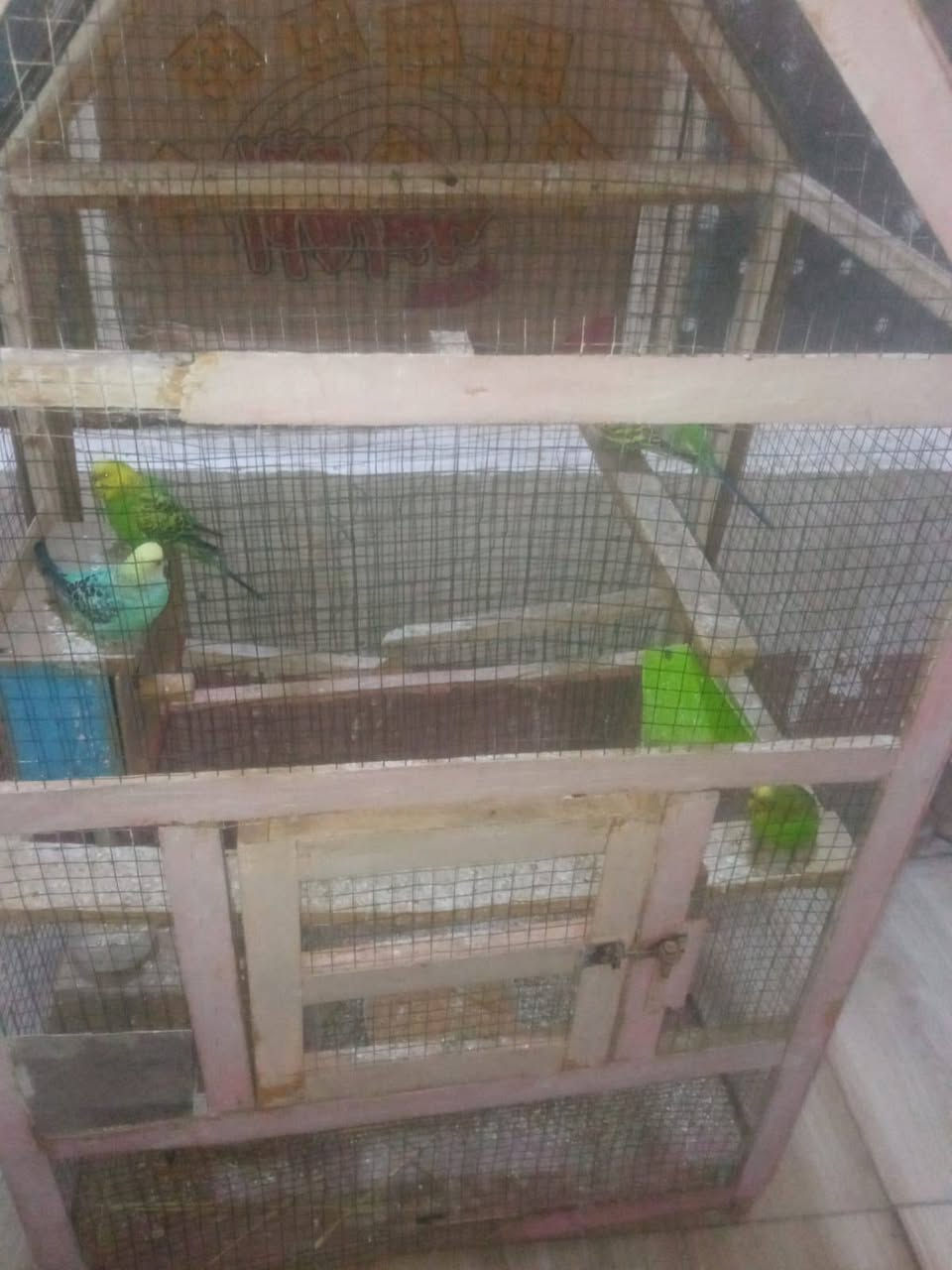 طيور حب 4مع قفصهن السعر35


**إذا كنت صاحب هذا الإعلان وتريد حذفه لأي سبب، رجاءا أرسل رسالة إلى الدعم الفني**