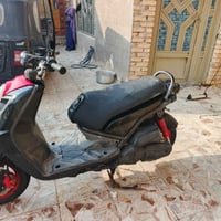 سكنس جبلي • كفالة عامة • ميسان