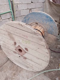 بكرة خشب • الفظلية • عدد ٢