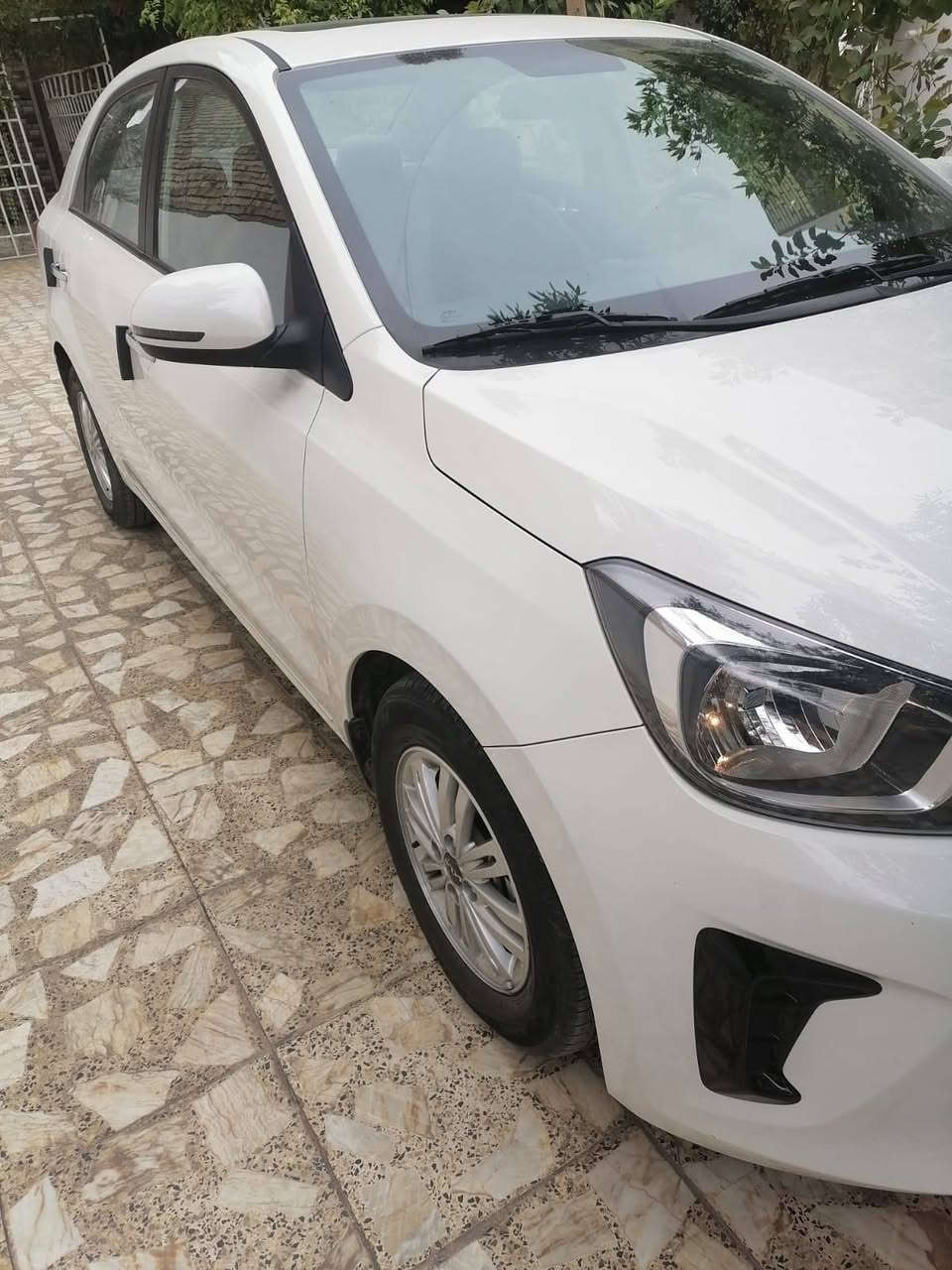 سلام عليكم
كيا بيجاس موديل 2025 رقم أربيل دولي ترقيم جديد هزه وفحص جديده
بدون ضربه ولا صبغ مكفوله كفاله عامه 

زيرو ماشيه 2500
خليجي فول مواصفات
مال شركه nim.ام ضمان باب الاول
تحويل او وكاله اي شي حاضر
فتحه
شاشه بلادي
كاميره دواره
حاسات خلفيه
مري اشاره
تحكم سترين اواكس بلوتوث حكايه تلفون مانع انزلاق حاس اطار
كورس سرعه
كراسي جلد بلادي
ويل كب
بلوجكات اماميه 
اتصال ***********او ***********مكاني بغداد
