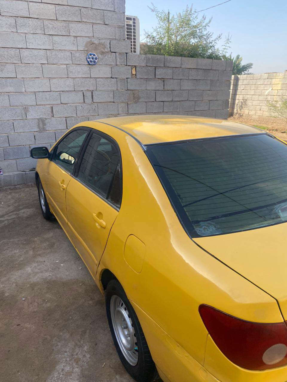 ‎سلام عليكم كورله نحله وارد امريكي 
/ ***********. السعر 70‎ البصرة, العراق
