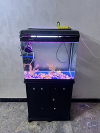 السعر 100 الف حوض سمك من ماركة كامري العالمية نزال 60 سم | طول 50سم حو...