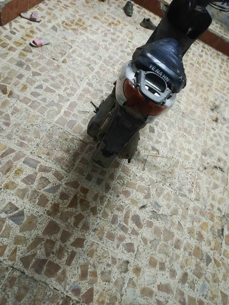 مطور فراخ الكزز البيع ويرمنيه كله تمام نكر سلف شرط مكينه معمره 1 وحده شرط مكني جانب اليمن سعر 175بي مجلبصيط وال مو شاري لا يدعبني      ***********
